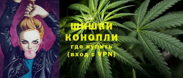 ГАЛЛЮЦИНОГЕННЫЕ ГРИБЫ Новодвинск