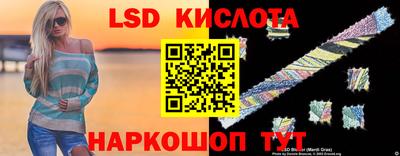 стаф Дубна