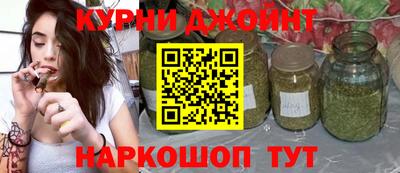 стаф Дубна
