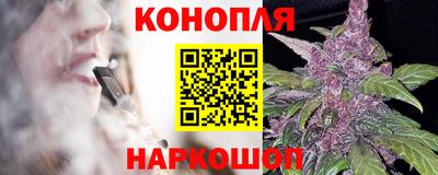 стаф Дубна