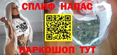 стаф Дубна