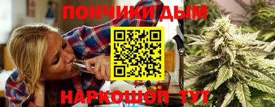 стаф Дубна