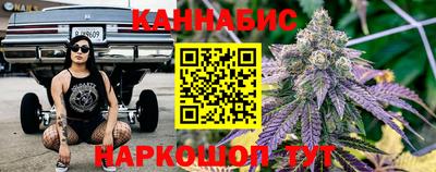 стаф Дубна