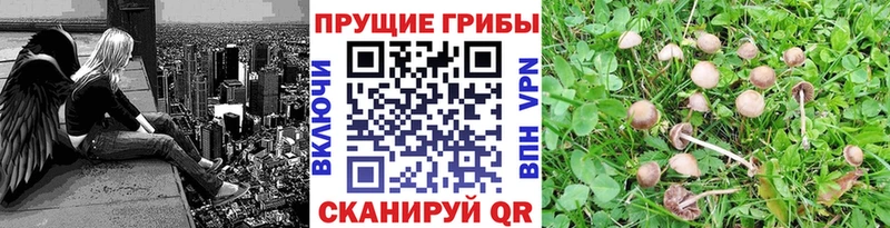 Псилоцибиновые грибы мухоморы  Похвистнево 