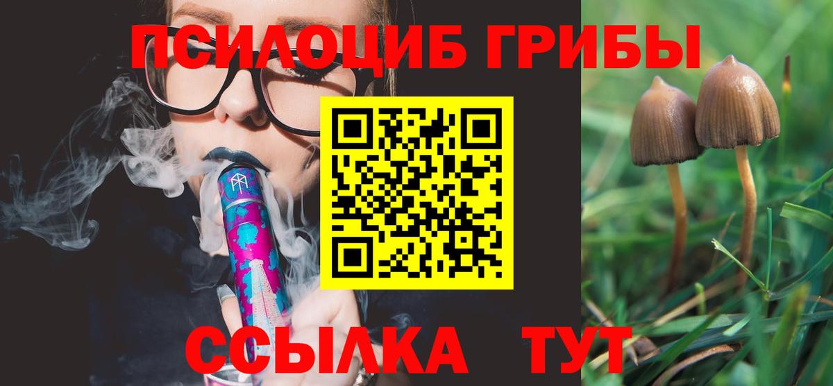 Похвистнево  Псилоцибиновые грибы мухоморы  Вход с VPN 